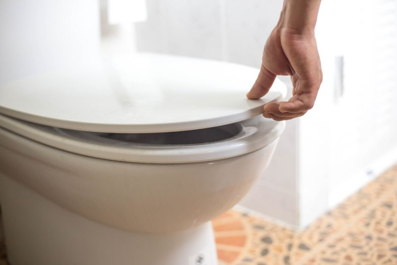 Kā noņemt cietās plastmasas tualetes atloku (dariet to!)