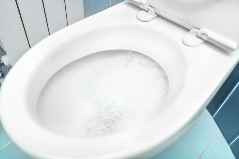 Zakaj je moja toaletna voda siva? (Izvedite zdaj!)