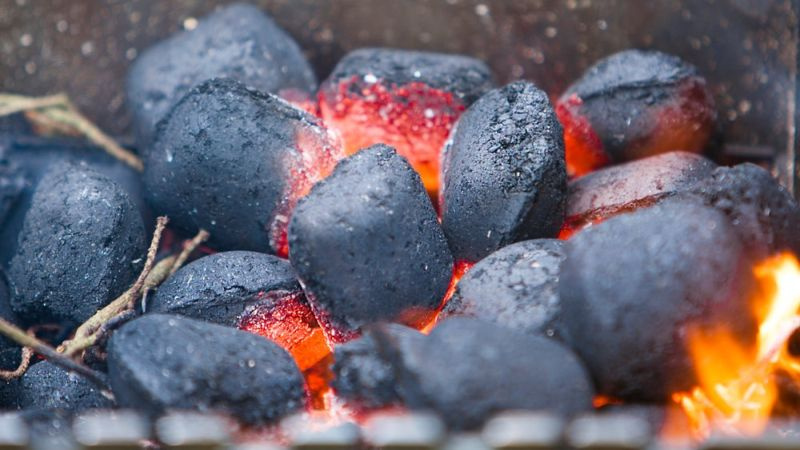 Можете ли да сложите дървени въглища в газова скара? (Разберете сега!)
