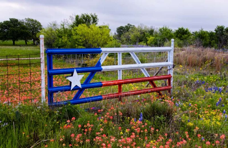 Hvad er fordele og ulemper ved at flytte til Texas?