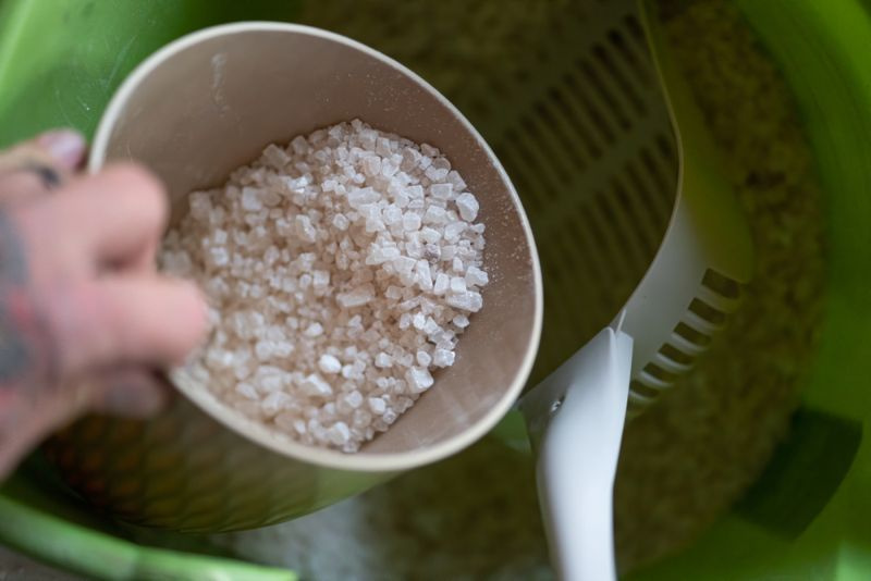 Можете ли да използвате сол за омекотяване на водата на алеята си? (Разберете сега!)