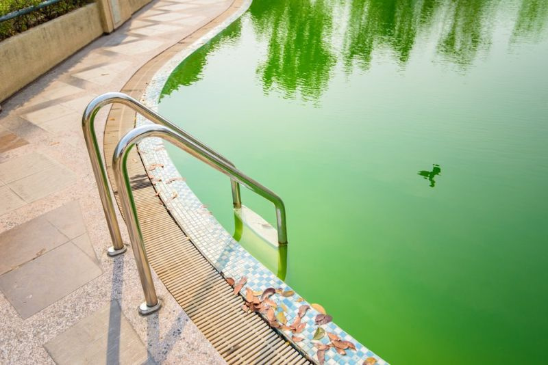 האם זה בטוח לשחות במי בריכה ירוקים? (גלה עכשיו!)